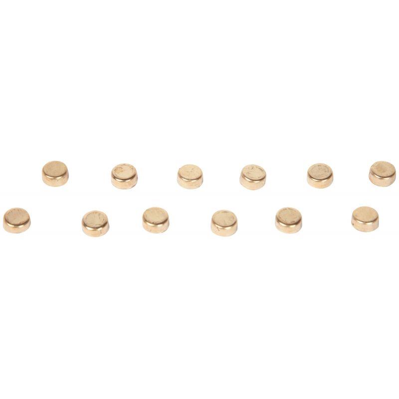 Image de  Boîte de 12 aimants diamètre 9 mm, dorés 