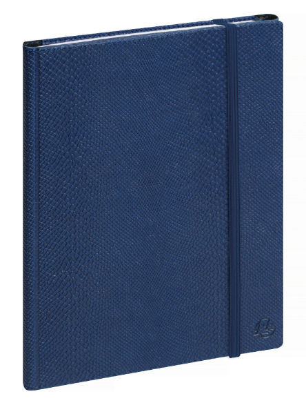 Image de  Agenda semainier SAD 20S All in One Bleu 