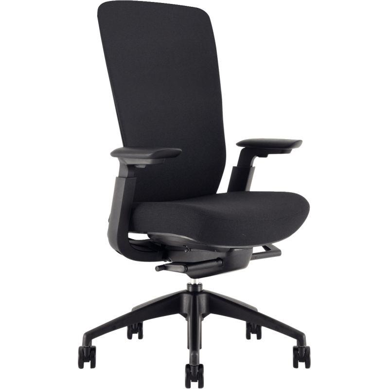 Image de  Fauteuil ergonomique Ramsès noir 