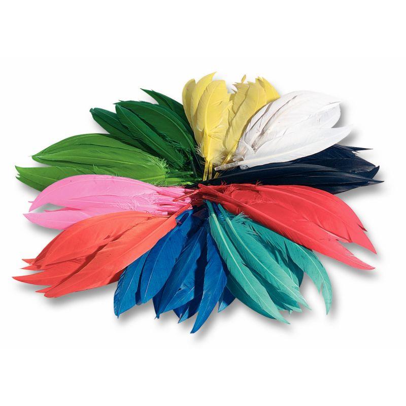 Image de  Sachet de 100 grammes de plumes d''indien couleurs assorties 