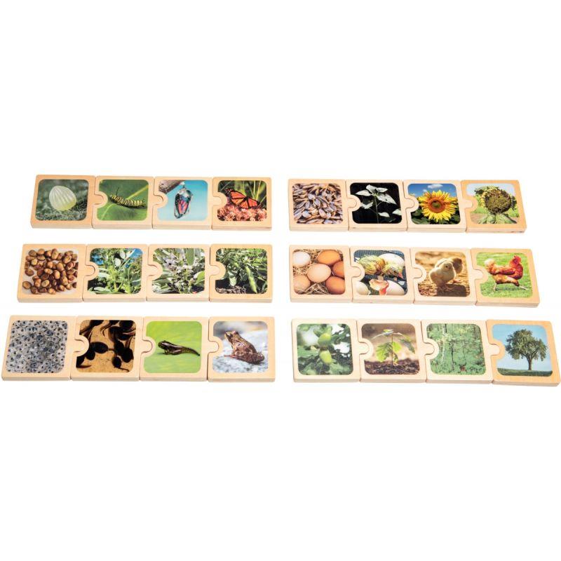 Image de  Boite de 6 puzzles en bois, cycles de vie 