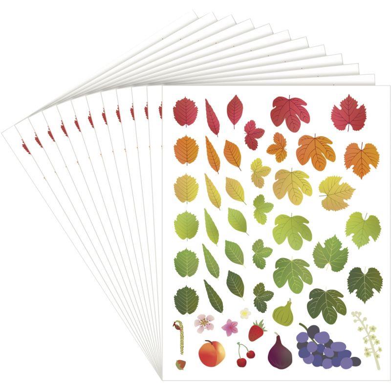 Image de  Pochette de 576 gommettes évolution des 4 saisons repositionnables 