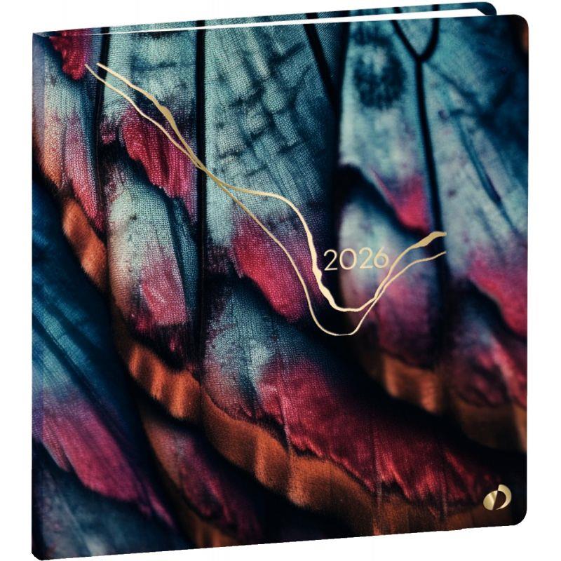Image de  Agend sem hipsy 16x16 papillon 
