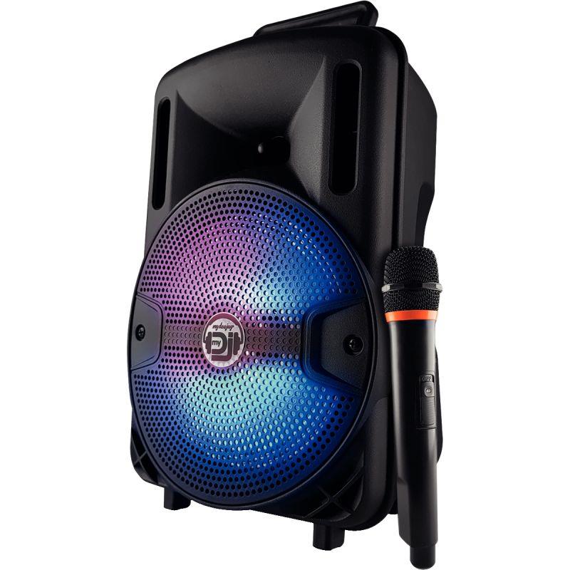 Image de  Enceinte portable 400W 