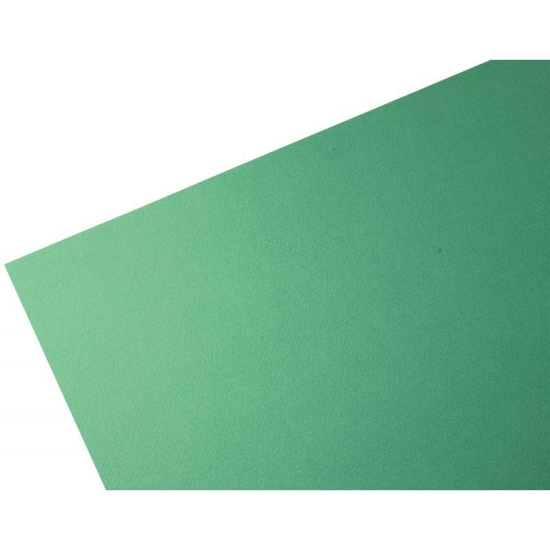 Image de  Paquet de 10 feuilles à dessin 50x65cm 160g vert 