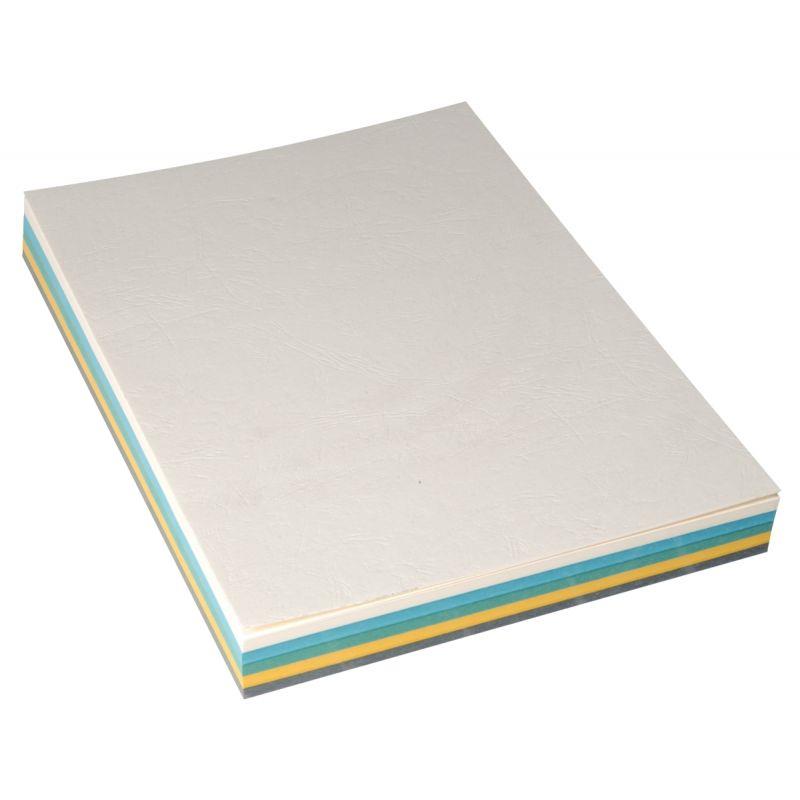 Image de  Paquet de 100 couvertures grain cuir 250g A4 coloris assortis 