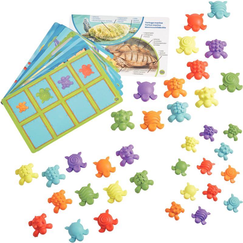 Image de  Boite d''activités les tortues 