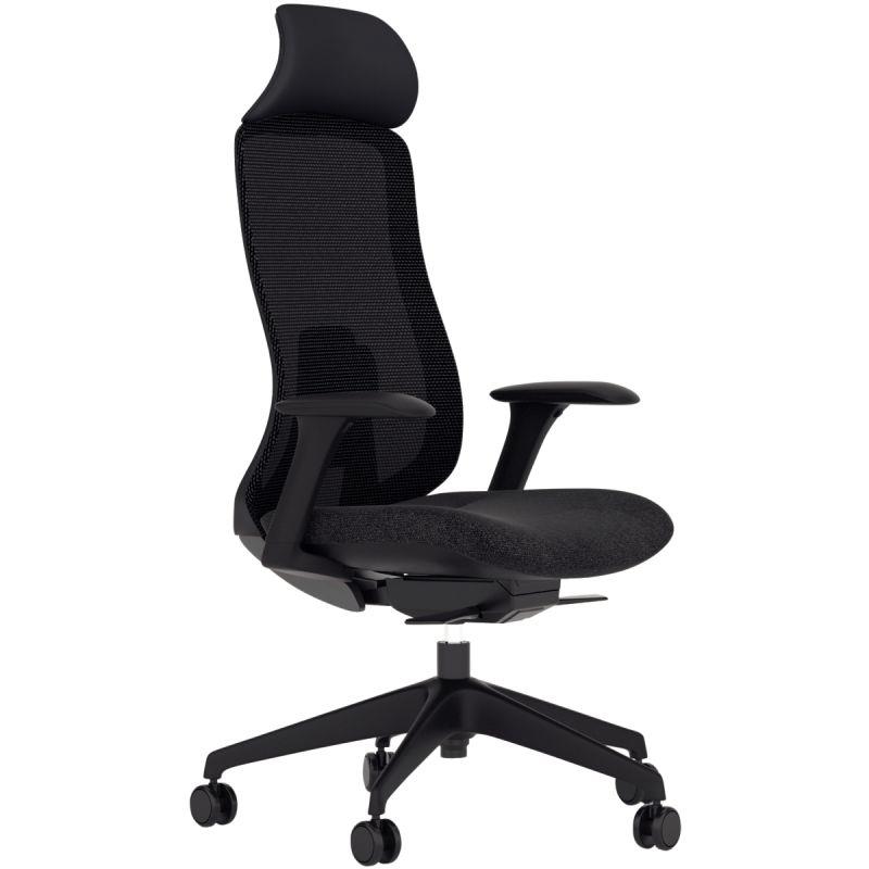 Image de  Siège manager ergonomique Max noir 