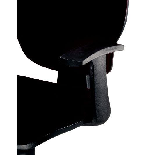 Image de  Paire d''accoudoirs réglable Master 