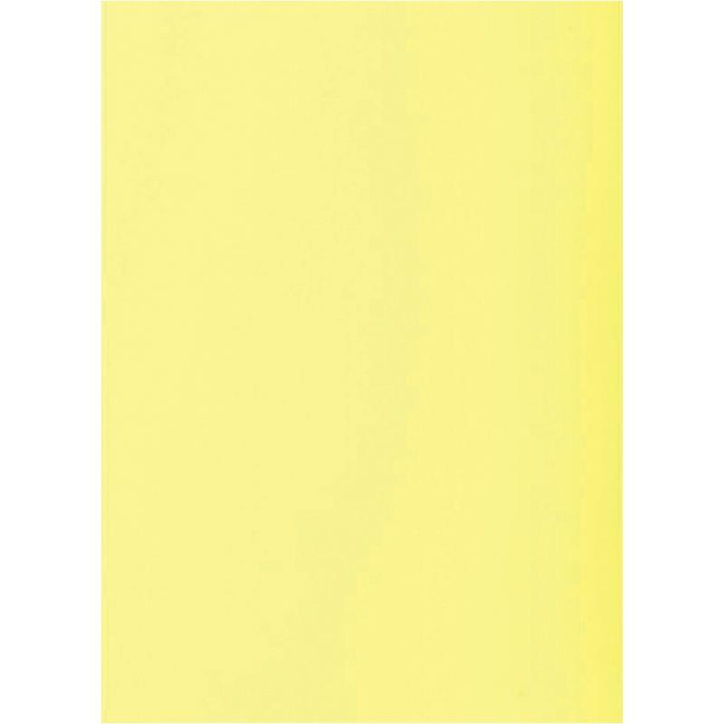 Image de  Paquet de 250 sous-chemises 60g format 22x31 cm canari 