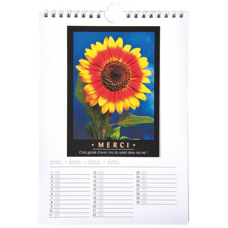 Image de  Calendrier à décorer, format 17x24 cm 