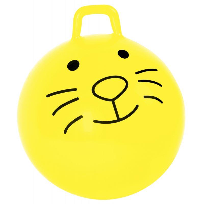 Image de  Ballon sauteur 1er prix diamétre 50cm 
