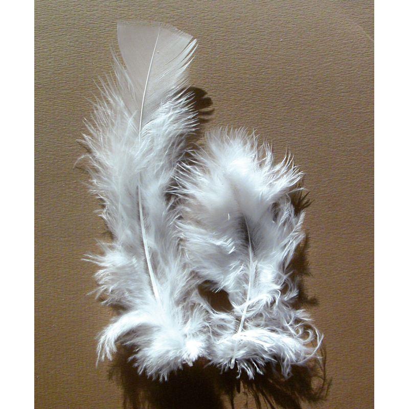 Image de  Sachet de 25 grammes de plumes de dinde, pieds plats blanc 