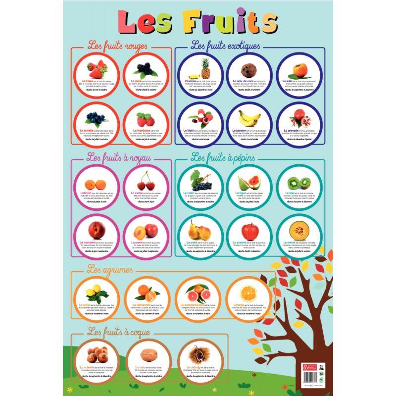 Image de  Poster en PVC 76x52cm les fruits 