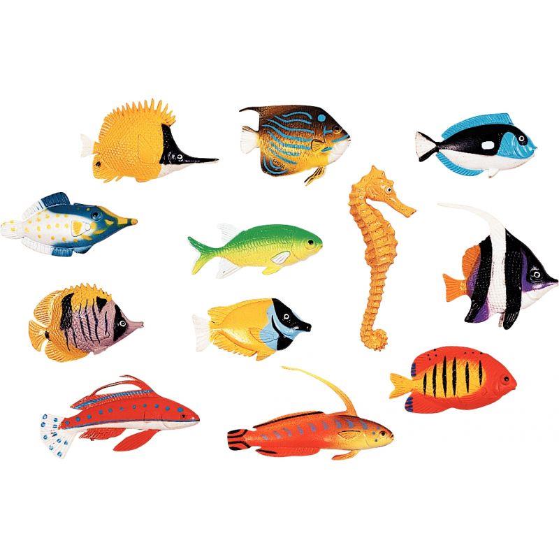 Image de  Baril de 60 poissons tropicaux 