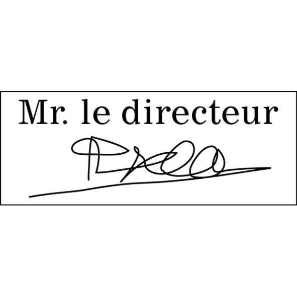Image de  Option pour tampon logo ou signature 