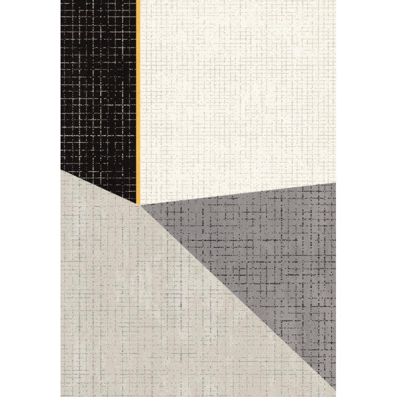 Image de  Tapis CANVAS 160x230 cm modèle D 