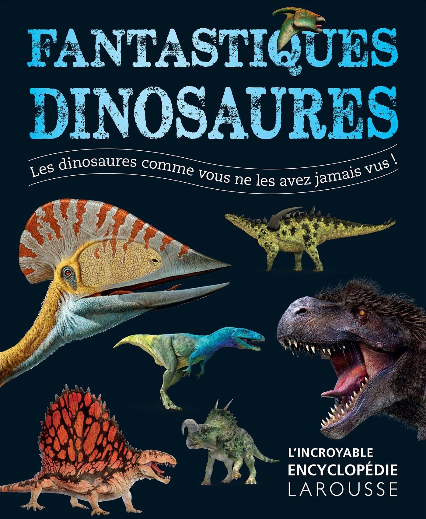 Ref. 9782035904805, Fantastiques dinosaures