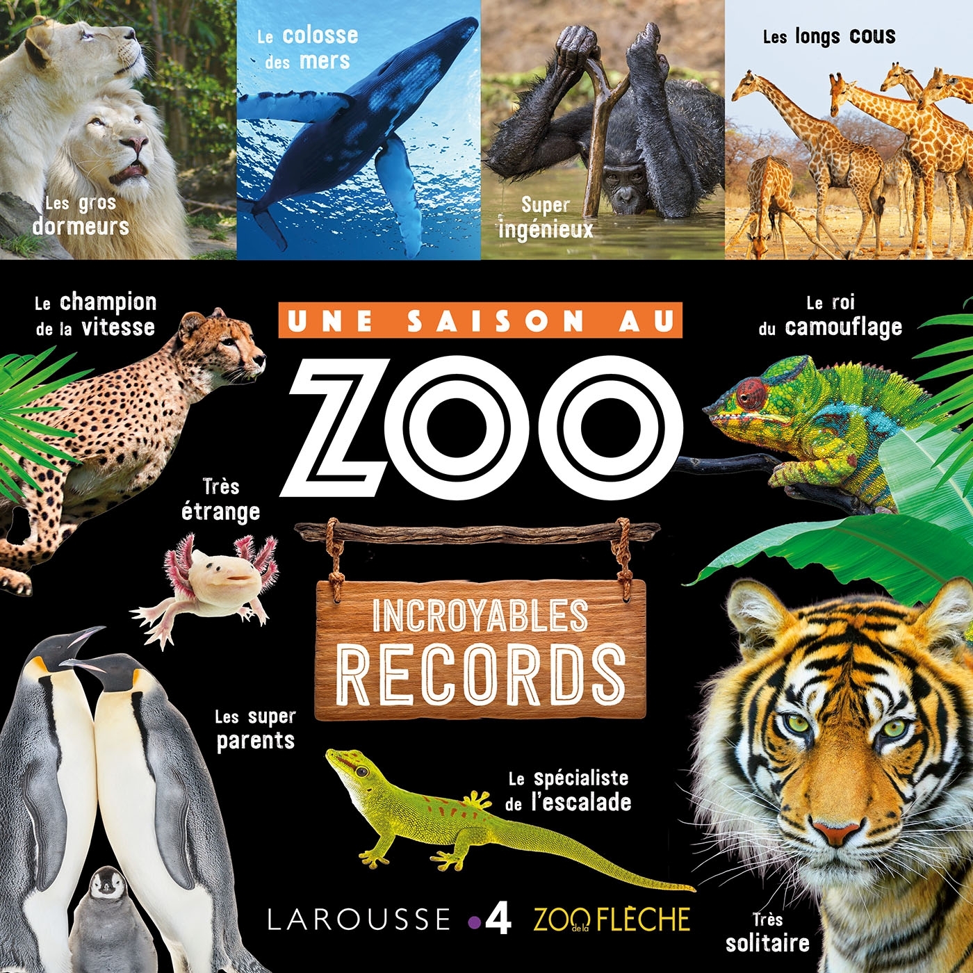 Ref. 9782035951595, Une saison au zoo incroyables records
