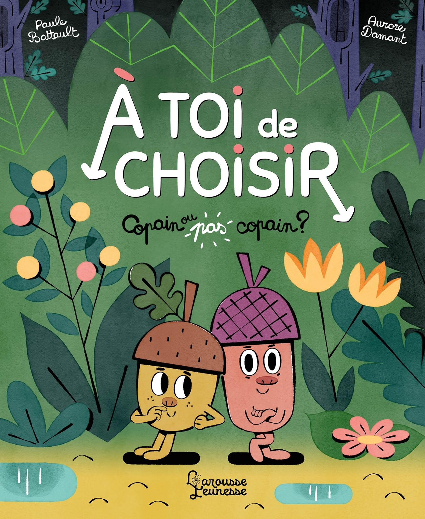 Image de  Copain Ou Pas Copain ? 