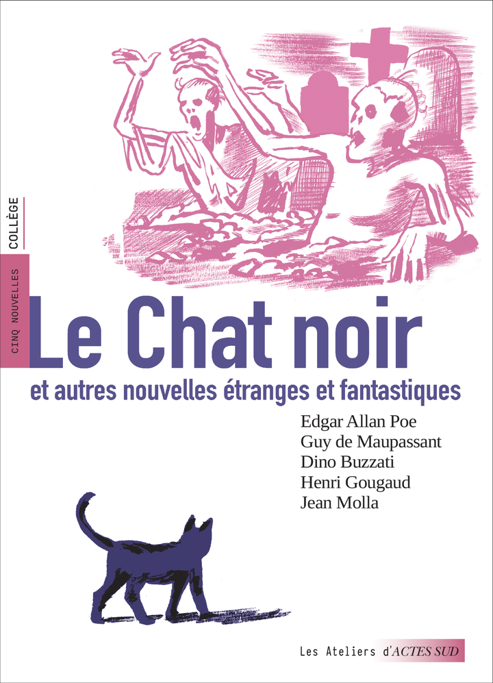 Image de  Le chat noir et autres nouvelles 