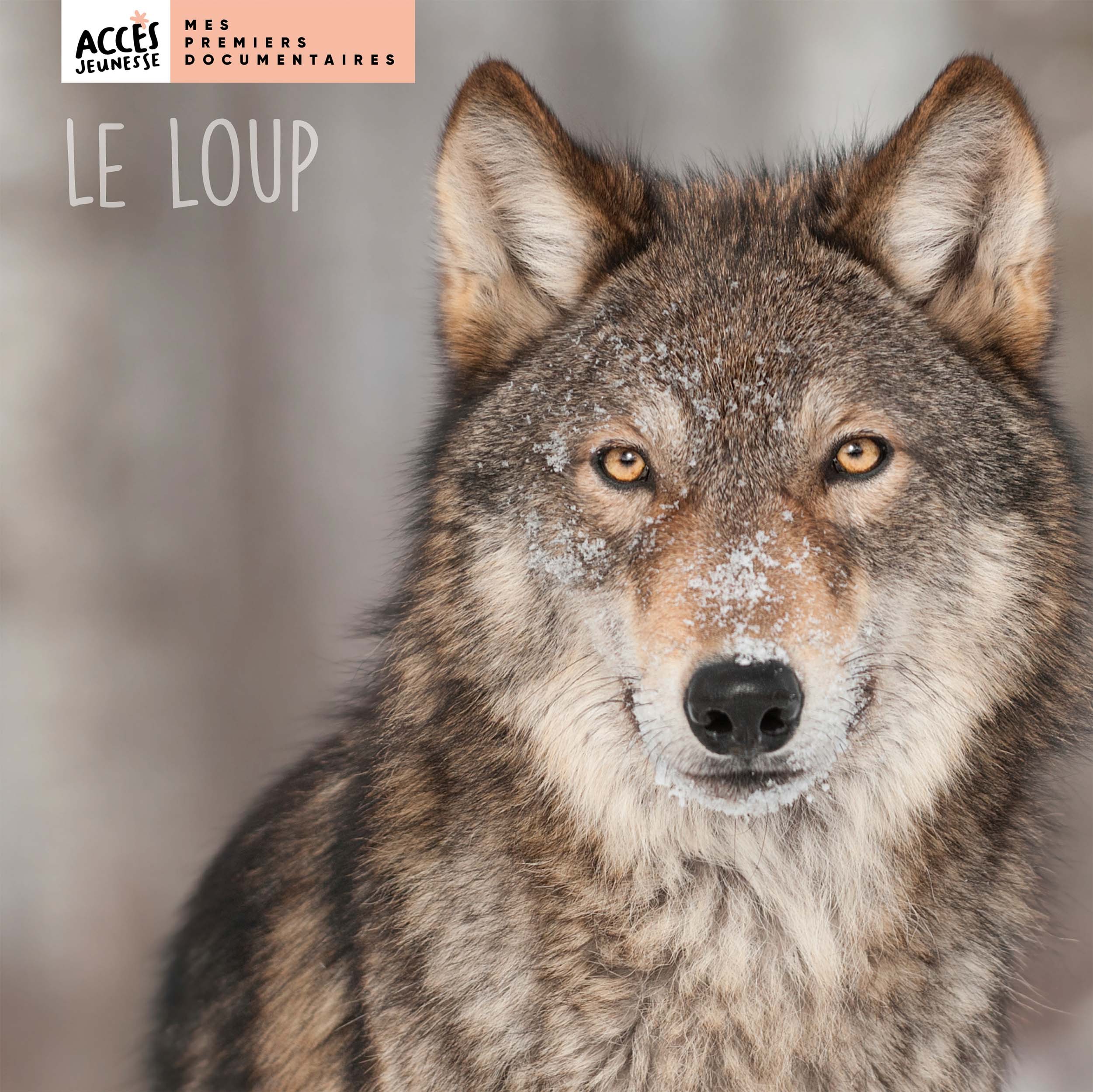 Image de  Le loup 