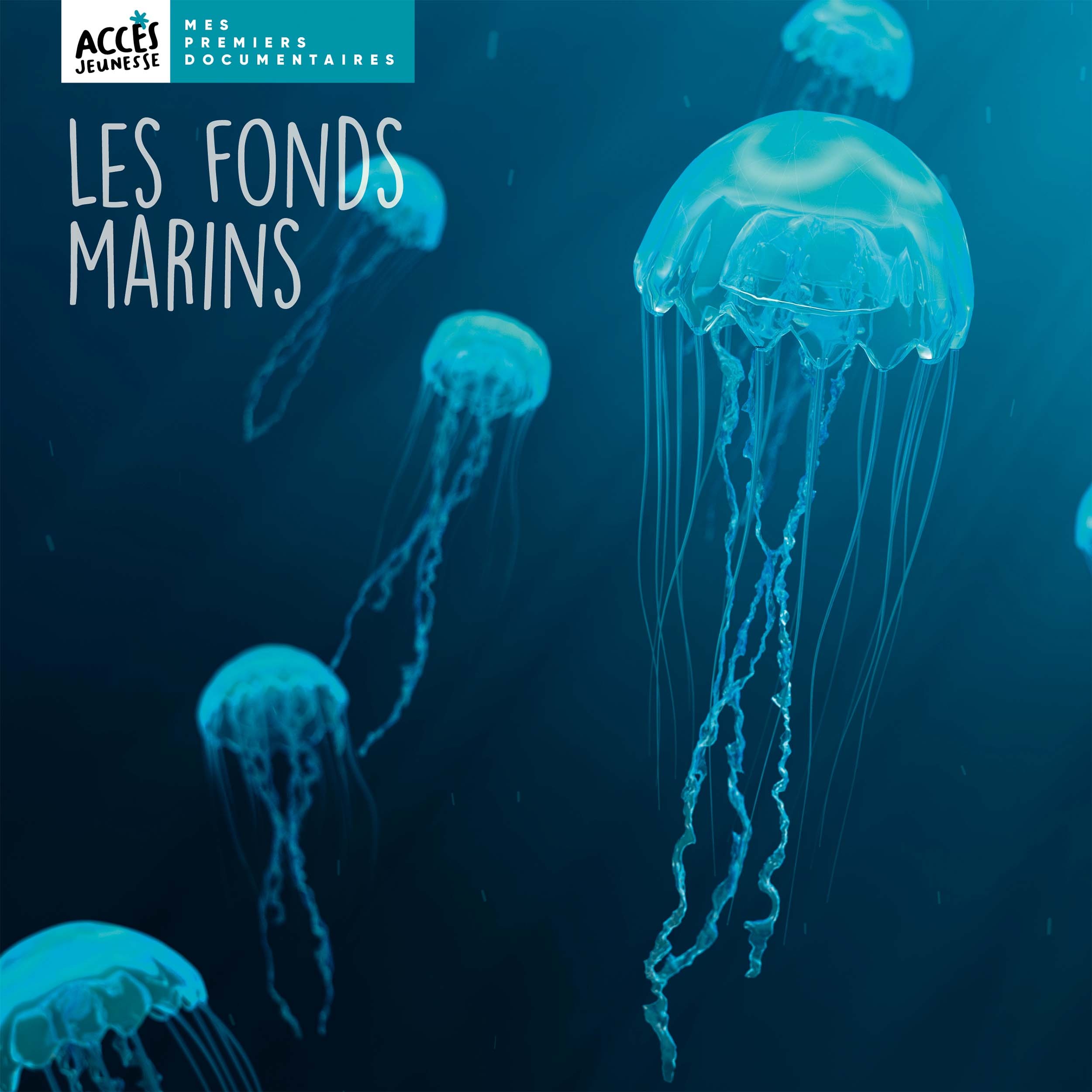 Image de  Les fonds marins 