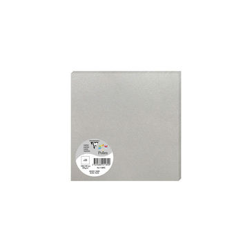Image de  Paquet de 25 cartes Pollen 16 x 16 cm argent 