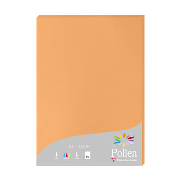 Image de  Paquet de 50 feuilles Pollen A4 160GR clémentine 