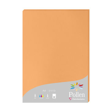 Image de  Paquet de 25 feuilles Pollen A4 210GR clémentine 