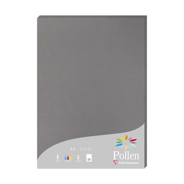 Image de  Paquet de 25 feuilles Pollen A4 210GR gris acier 