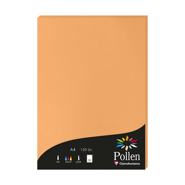 Image de  Paquet de 50 feuilles Pollen A4 120GR clémentine 