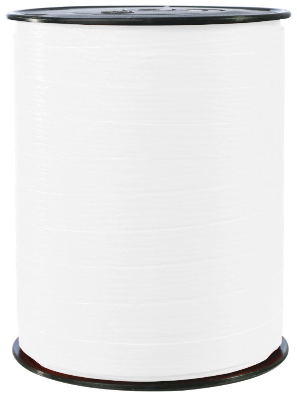 Image de  Bobine bolduc mat 10mm x 250m blanc 