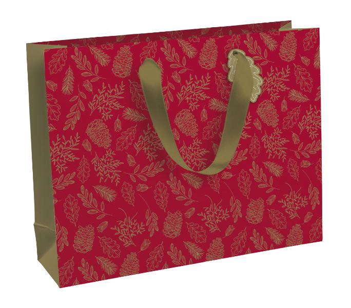 Image de  Sac cadeau shopping Excellia 37,3x11,8x27,5 pomme d'amour 