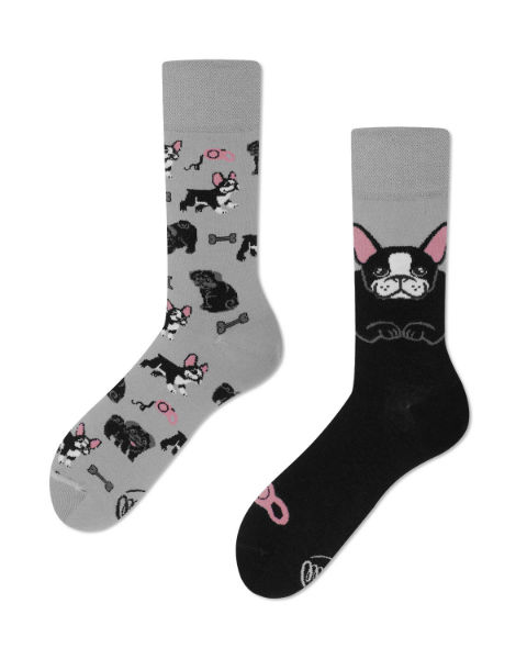 Image de  Chaussettes petit chien 43-46 