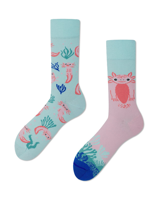 Image de  Chaussettes axolotls 39-42 