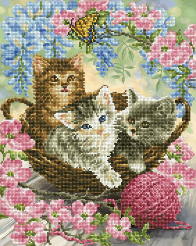Image de  Kit Diamond Dotz moyen tricots pour chatons 