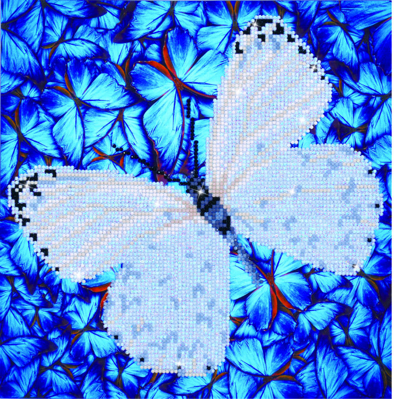 Image de  Kit Diamond Dotz moyen papillon blanc 