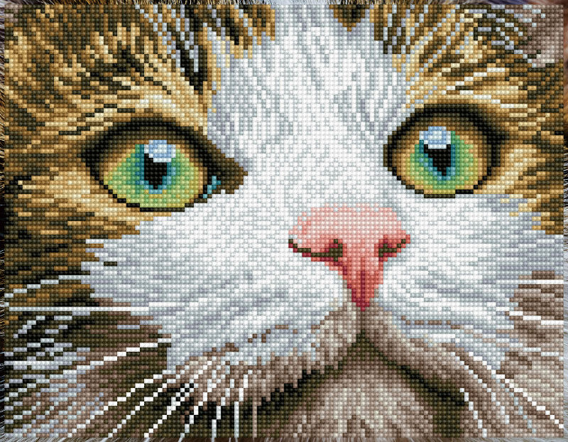 Image de  Kit Diamond Dotz moyen le regard du chat 