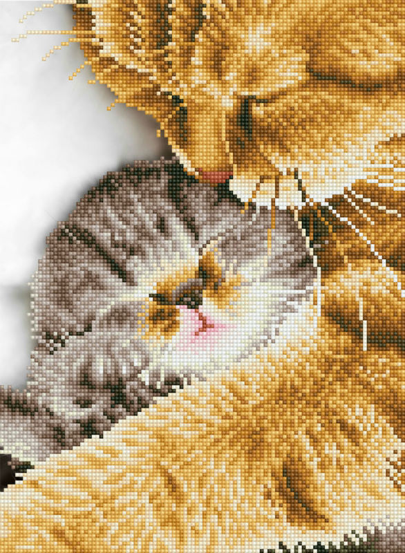 Image de  Kit Diamond Dotz moyen tendres moments 