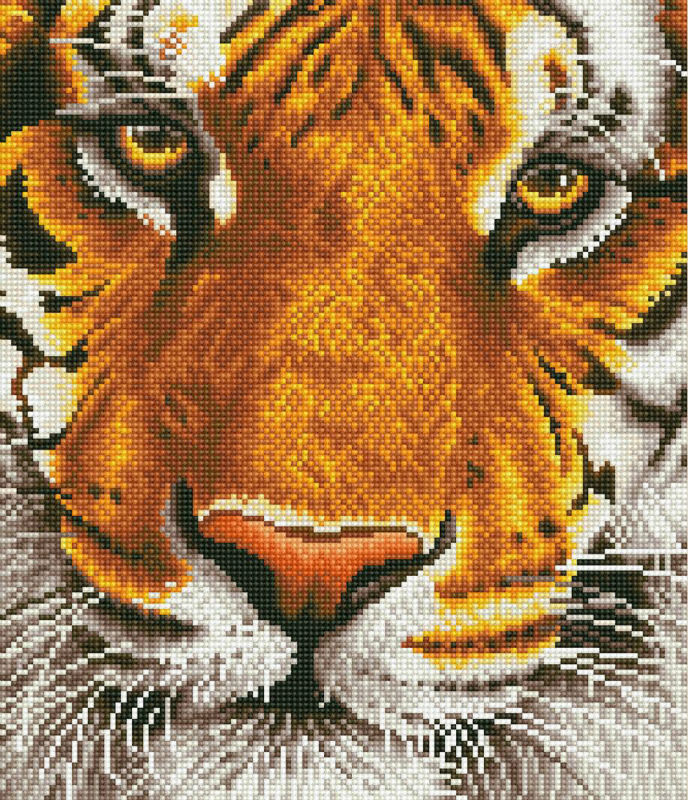 Image de  Kit Diamond Dotz moyen tigre du bengale 