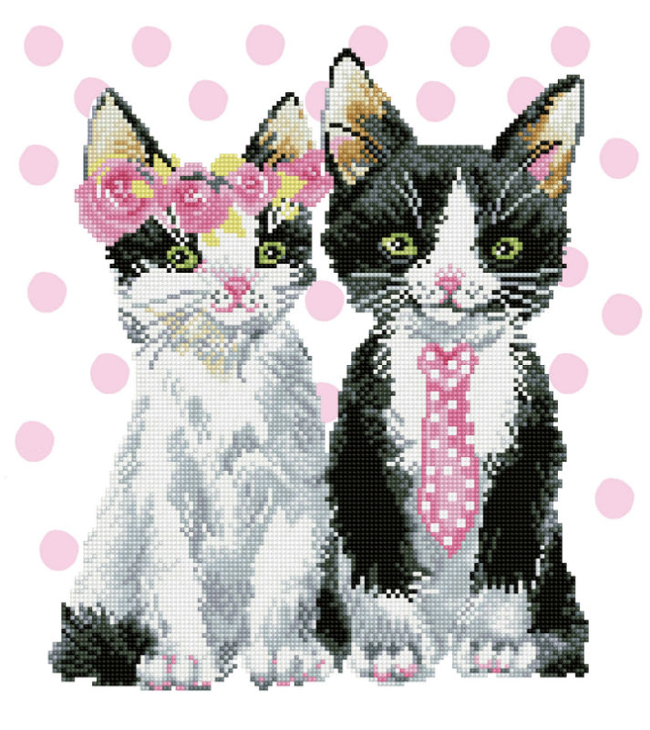 Image de  Kit Diamond Dotz moyen la vie en rose chez mr 1 mm 