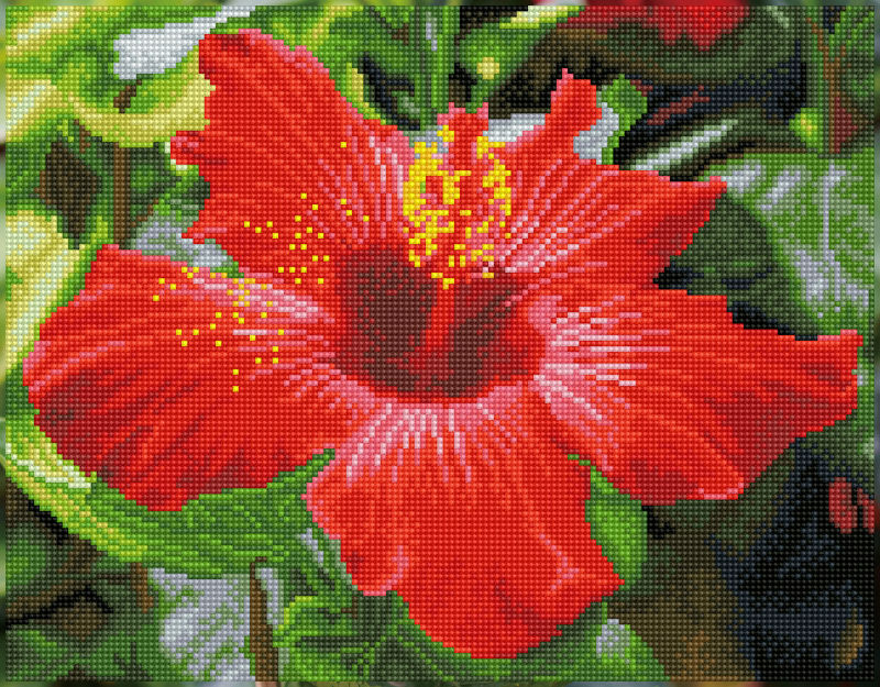 Image de  Kit Diamond Dotz squares fleur d’hibiscus 