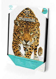 Image de  Kit Diamond Dotz Squares prince jaguar avec cadre 