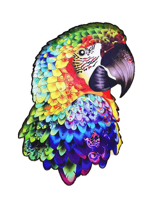Image de  Puzzle bois perroquet M 