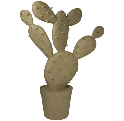 Image de  Très grand cactus piquant 