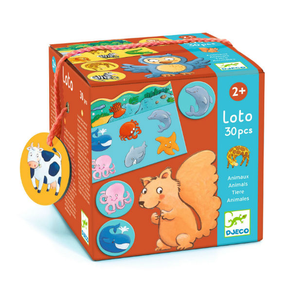 Image de  Jeux educ loto des animaux nd15 