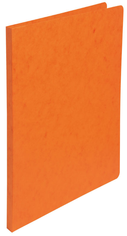 Image de  Chemise a dos raine orange 24x32 5/10 