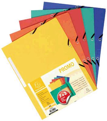 Image de  Lot de 7+3 chemise carte lustrée 