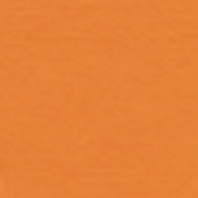 Ref. HUB11110368, Np10 bazzill papier scrap apricot